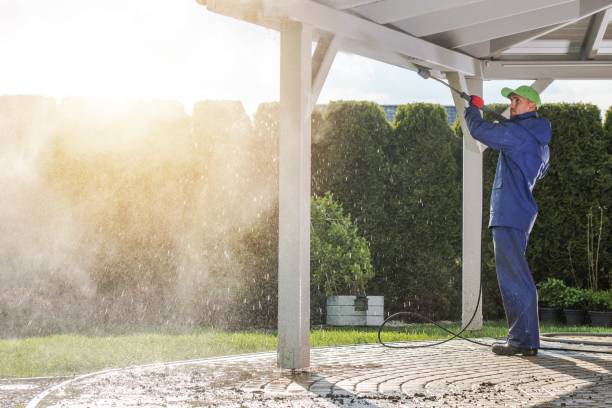 Best Brick and Stone Cleaning in Pantego, TX